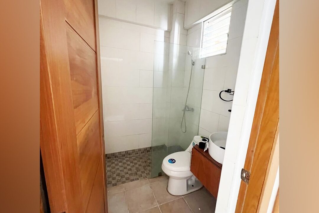 Apartamento 4to Piso con amplia terraza privada en venta San Isidro (20)