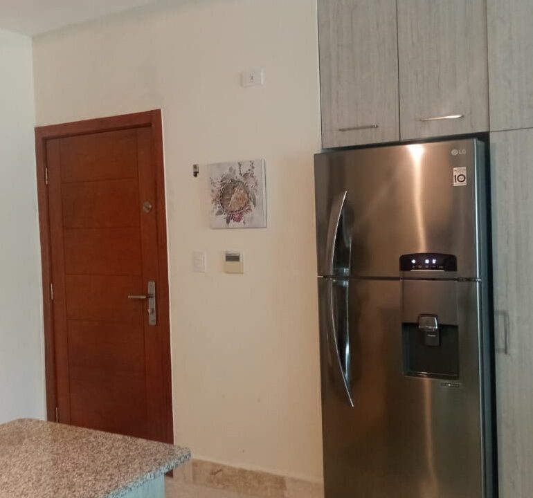 Apartamento en primera línea de playa Playa Nueva Romana (2)