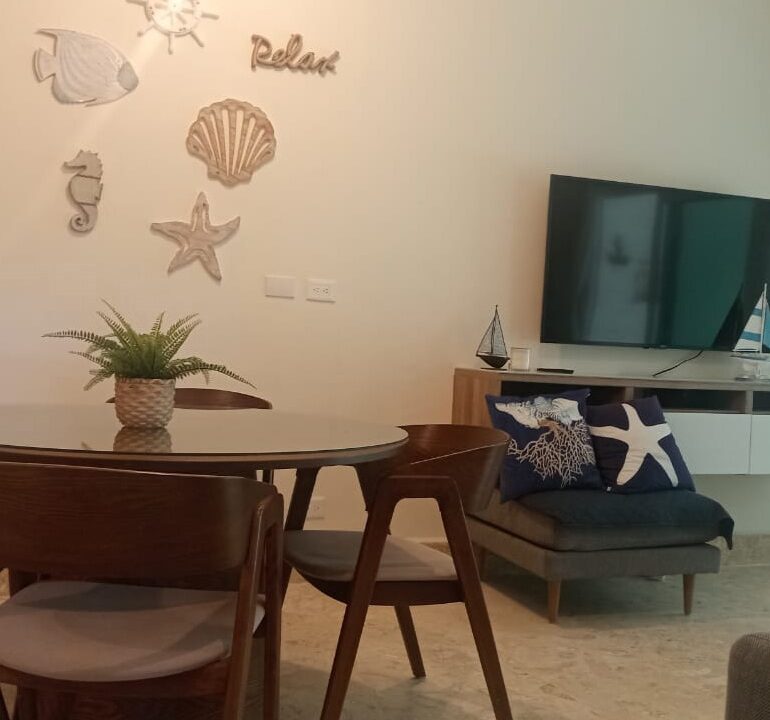 Apartamento en primera línea de playa Playa Nueva Romana (6)