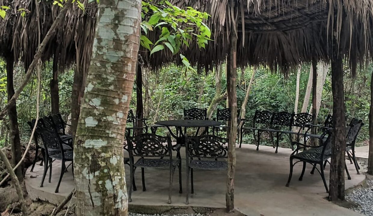 Apartamentos en venta en la Av. Ecológica (14)