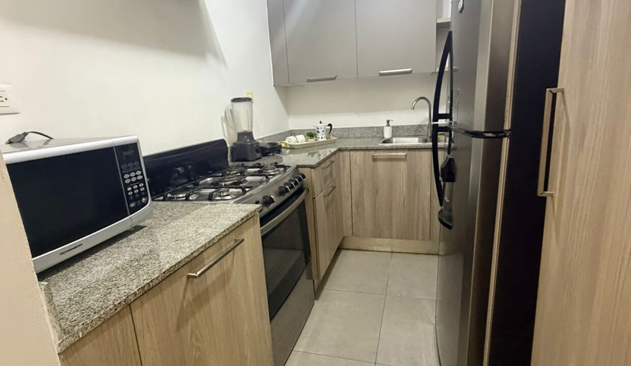 Apartamento en alquiler de 2 habitaciones en venta en El Millón (10)