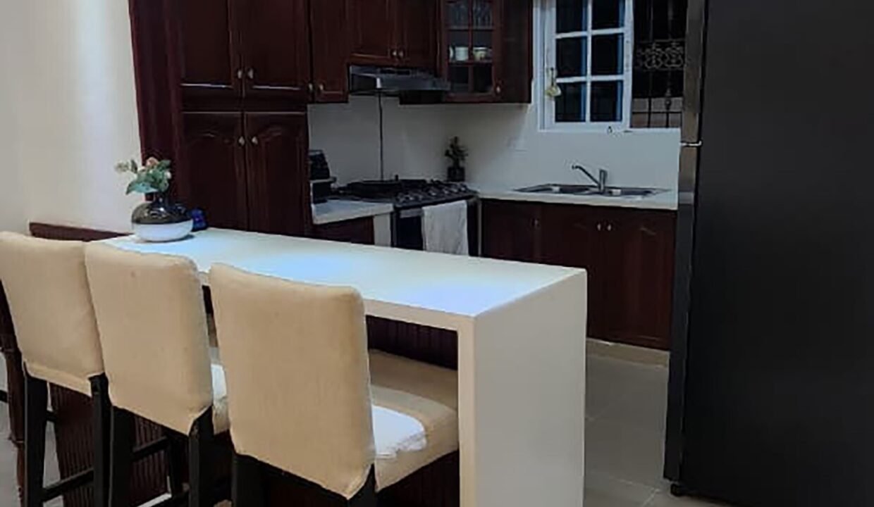 Amplia Y Hermosa Casa A La Venta Ubicada En La Autopista San Isidro (48)